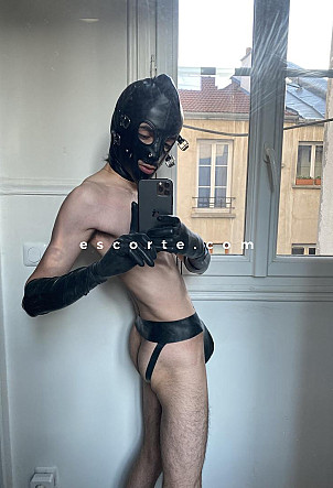 FrenchBaby - Males escort Paris