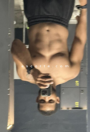 Wilk20cm - Hommes escort Paris