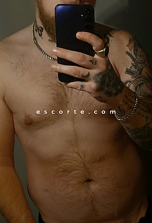 bigbee - Males escort Reims